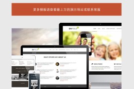 极速简单的wordpress主题enfold V4.8.1 主题汉化版含教程