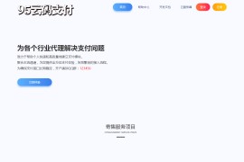 价值2999的码支付源码带监控软件