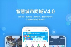 智慧城市同城V4小程序独立版v1.6.5+前端