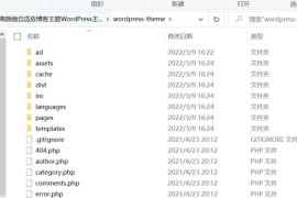 WordPress高颜值自适应博客主题+支持暗黑/白天风格