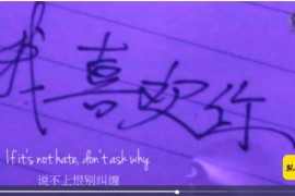 苹果CMSv10插件/本地解析播放器-videojs解析 整合苹果cmsV10程序