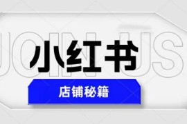 价值3980的小红书店铺秘籍，最简单教学，最快速baodan，天/1000+