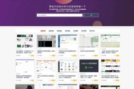 ripro9.0修正升级版+WP两款美化包+稀有插件