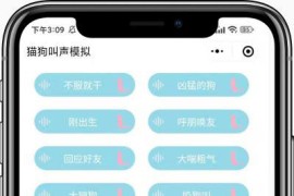 猫狗啼声模仿器微信小法式前端源码
