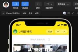 wordpress 全断小程序源码