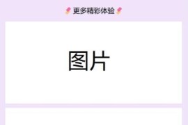 2024首发最火的软件宣传单页源码