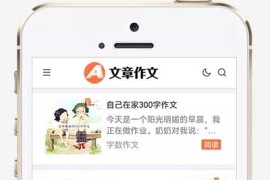 响应式文章资讯论文作文作文网站pbootcms模板