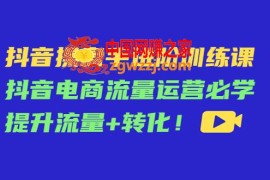 抖音操盘手进阶训练课：抖音电商流量运营必学，提升流量+转化