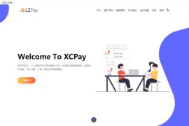 浪子Pay-码支付即时到账系统源码