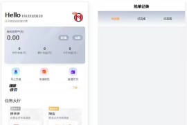 嗨淘V12刷任务点赞系统 手动派单版本