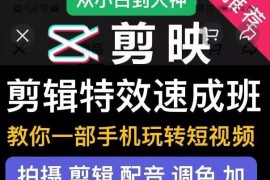 剪映剪辑特效速成班：教你一部手机玩转短视频，提供上千款特效素材【无水印】