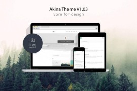 WordPress主题 极简主题Akina
