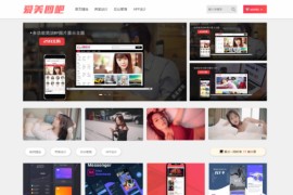 美女图片站 CX-UDY3.1最新破解版全解密去授权版无限制