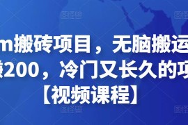 Steam搬砖项目，无脑搬运，一单赚200，冷门又长久的项目【视频课程】