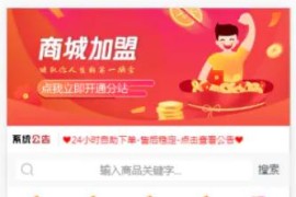 【彩虹代刷网仿小储store模板 】已去除后门+彩虹系统仿小储云的商城模板