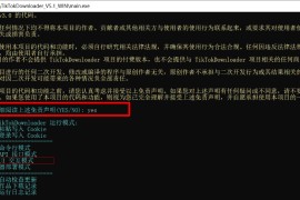 抖音采集/下载工具 TikTokDownloader 5.1