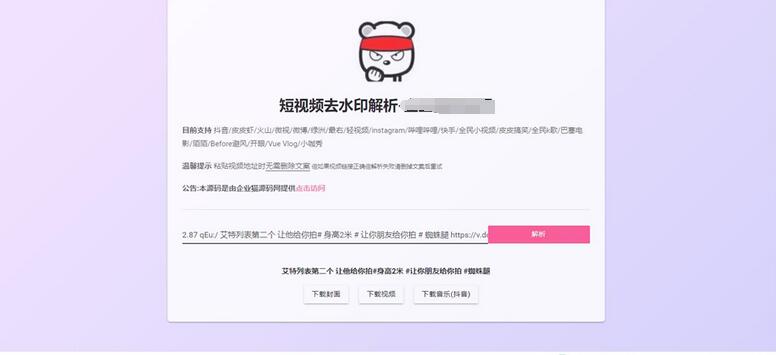 网页版短视频去水印源码，上传既用  第1张