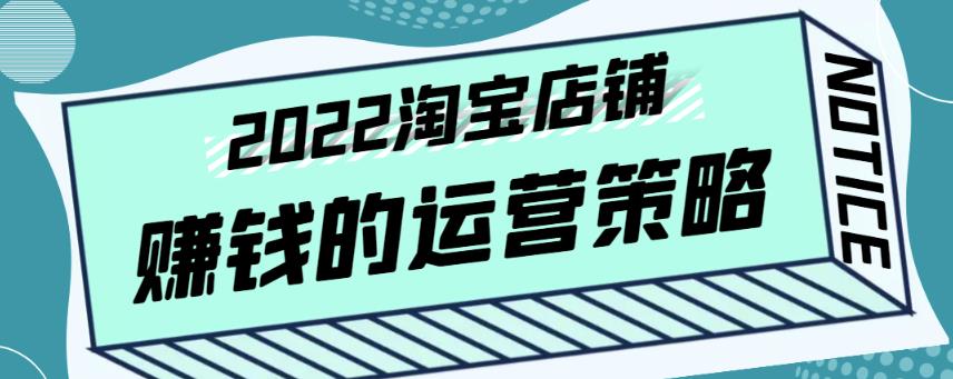 震宇老师·2022年淘宝店铺赚钱的运营策略，一套能够盈利的赚钱打法  第1张