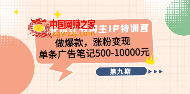 28天小红书博主IP特训营《第9期》做爆款，涨粉变现 单条广告笔记500-10000  第1张