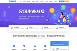 蓝色小程序电商软件开发公司网站源码（pc+wap） 小程序网站pbootcms模板